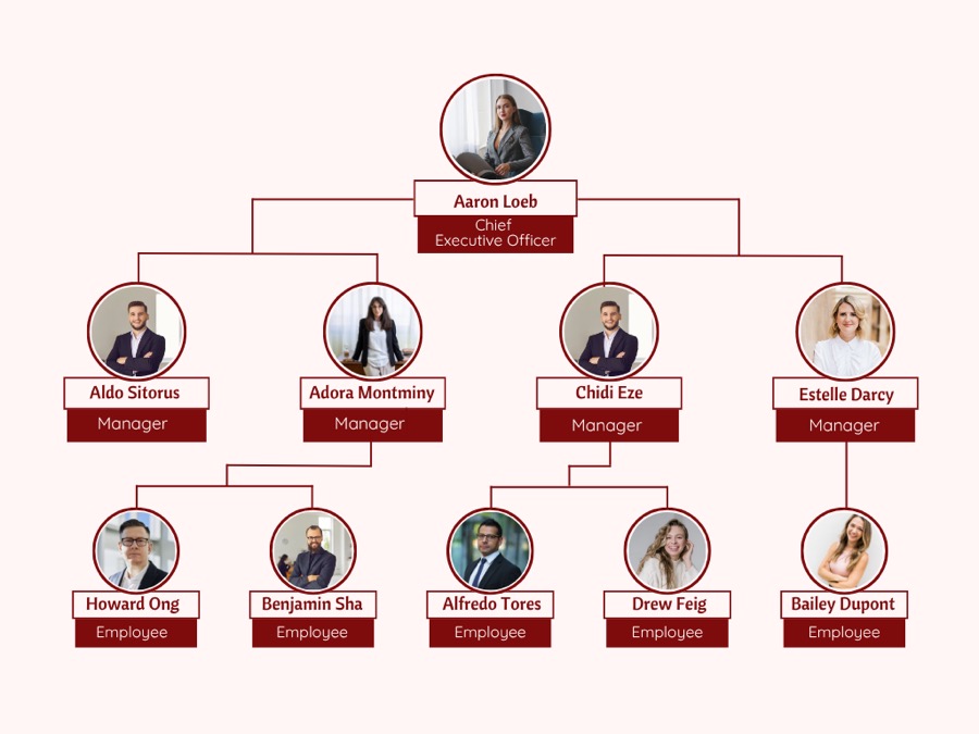 Org Chart